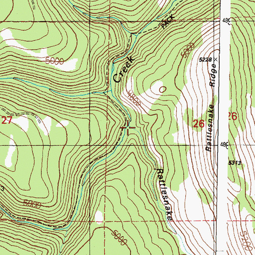 Topographic Map of Rattlesnake Canyon, OR