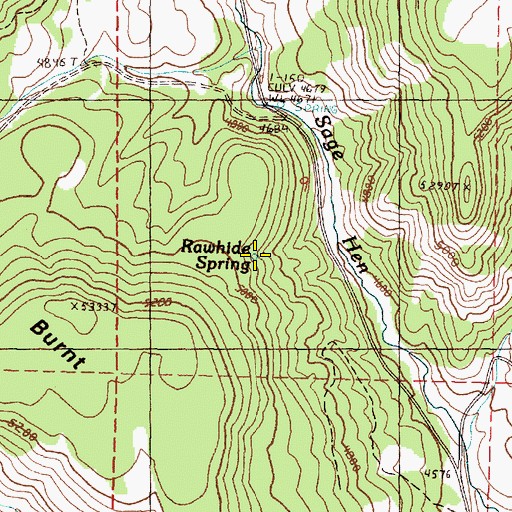 Topographic Map of Rawhide Spring, OR