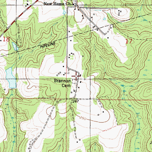 Topographic Map of Brannon Cemetery, AL