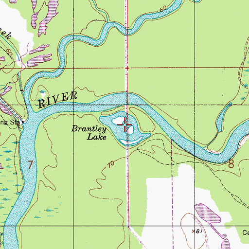 Topographic Map of Brantley Lake, AL