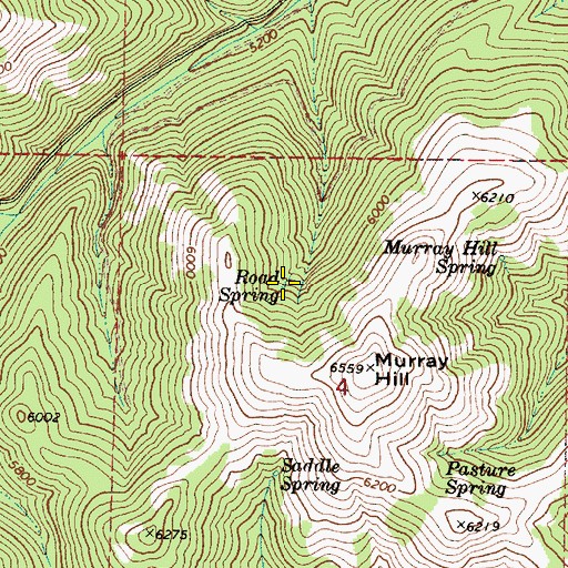 Topographic Map of Road Spring, OR