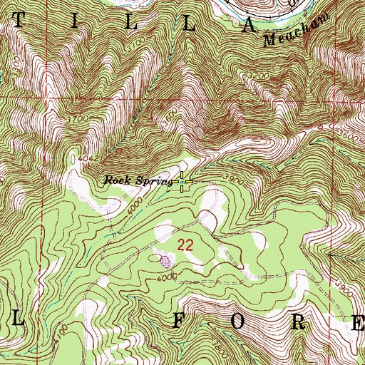 Topographic Map of Rock Spring, OR
