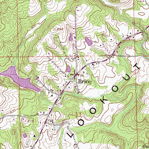 Topographic Map of Brice, AL