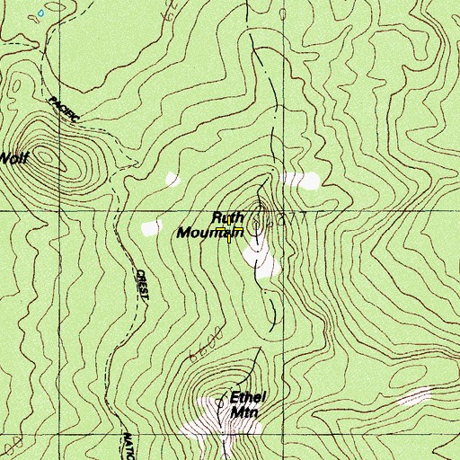 Topographic Map of Ruth Mountain, OR