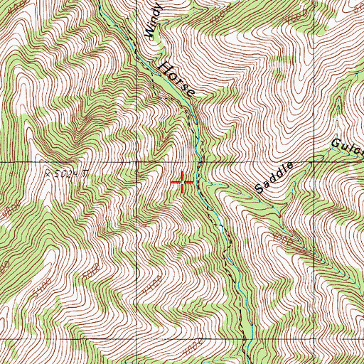 Topographic Map of Saddle Gulch, OR