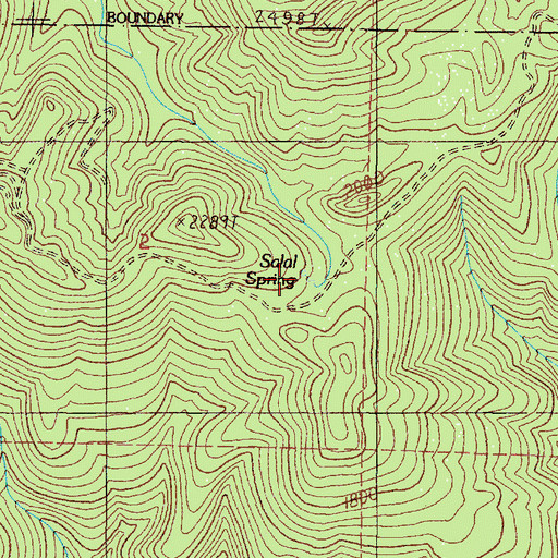Topographic Map of Salal Spring, OR