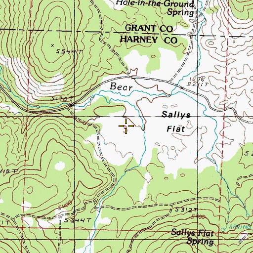 Topographic Map of Sallys Flat, OR