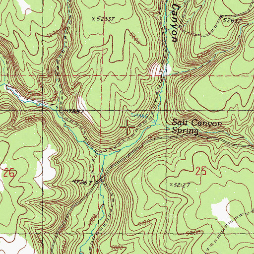 Topographic Map of Salt Canyon, OR