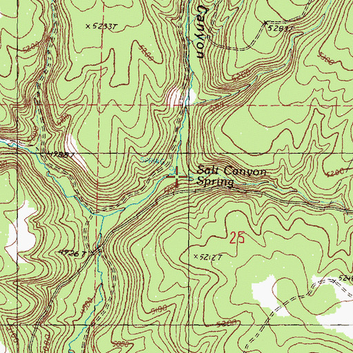 Topographic Map of Salt Canyon Spring, OR