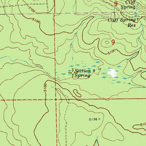 Topographic Map of Section 9 Spring, OR