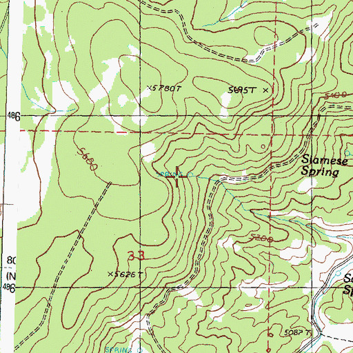 Topographic Map of Siamese Spring, OR