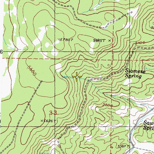 Topographic Map of Siamese Spring, OR