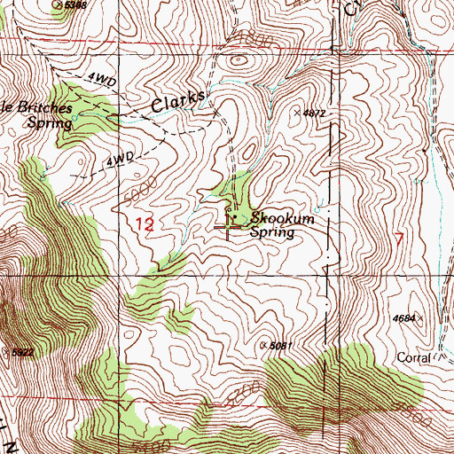 Topographic Map of Skookum Spring, OR