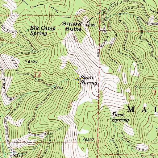 Topographic Map of Skull Spring, OR