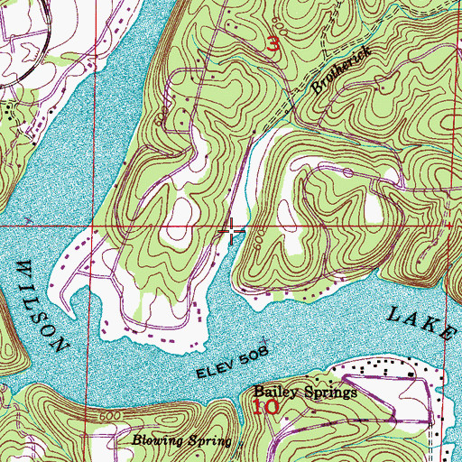 Topographic Map of Brotherick Branch, AL