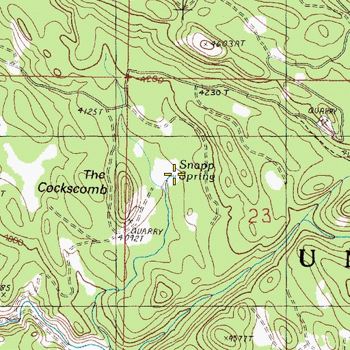 Topographic Map of Snapp Spring, OR