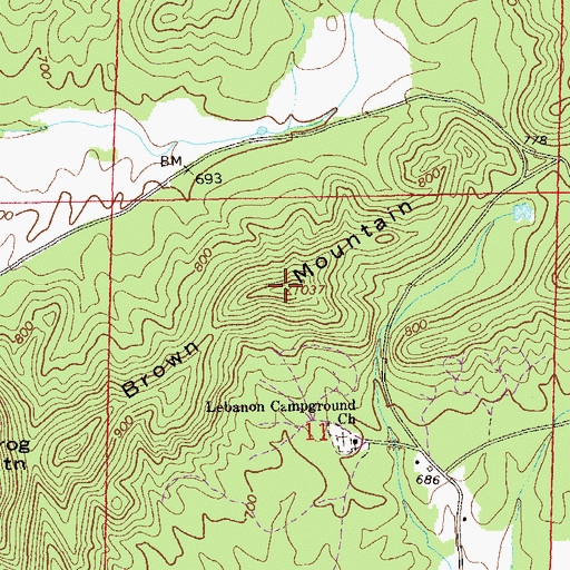 Topographic Map of Brown Mountain, AL