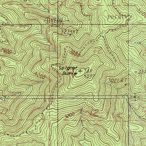 Topographic Map of Spignet Butte, OR