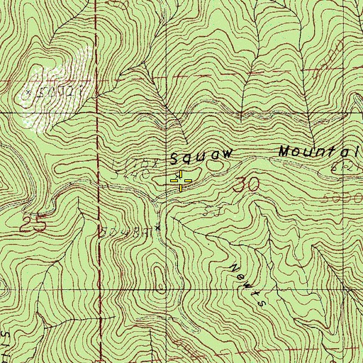 Topographic Map of Squaw Mountain, OR