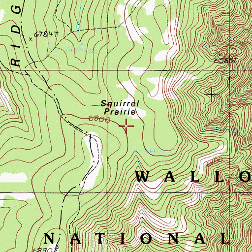 Topographic Map of Squirrel Prairie, OR