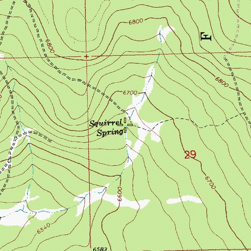 Topographic Map of Squirrel Spring, OR