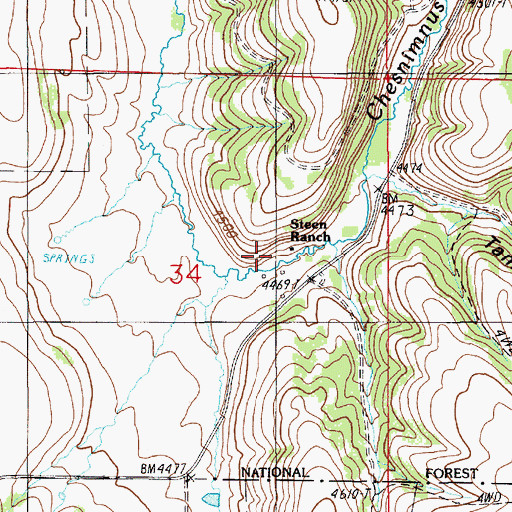 Topographic Map of Steen Ranch, OR