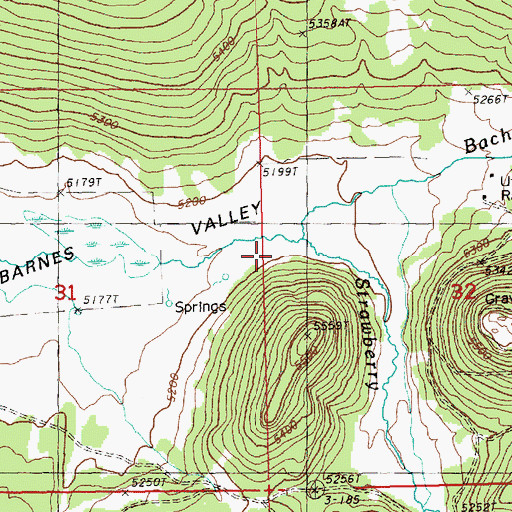 Topographic Map of Strawberry Creek, OR