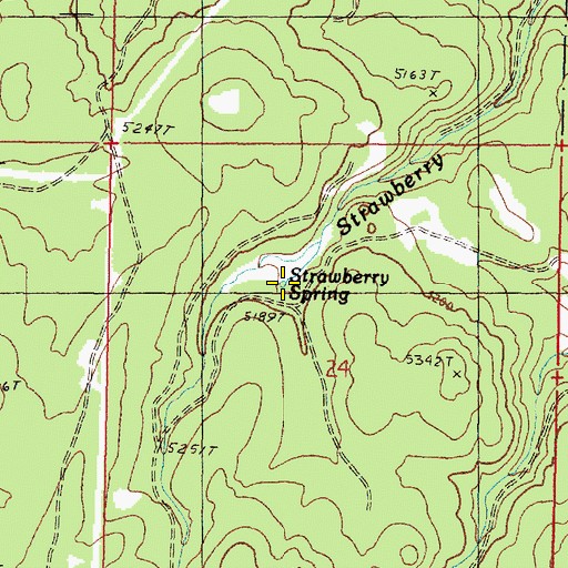 Topographic Map of Strawberry Spring, OR