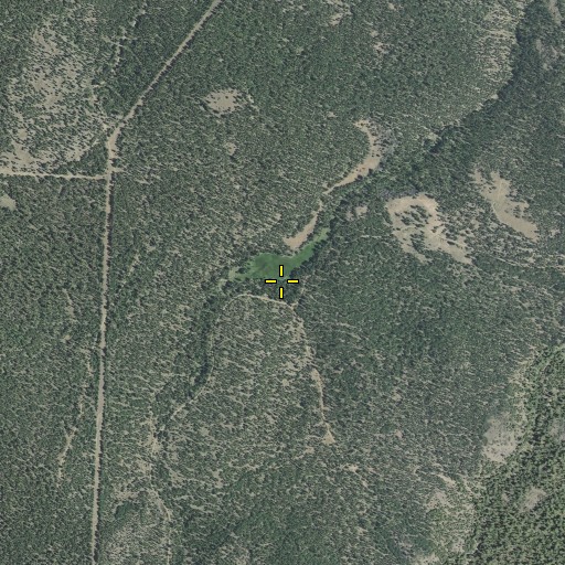 Aerial/Satellite Image of Strawberry Spring, OR