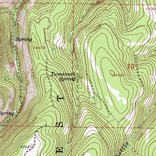 Topographic Map of Tamarack Spring, OR