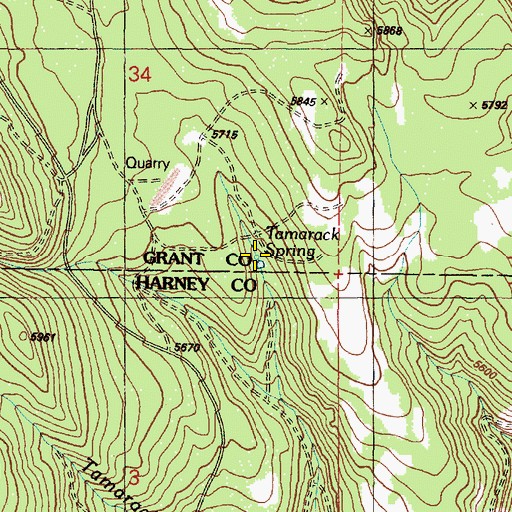 Topographic Map of Tamarack Spring, OR