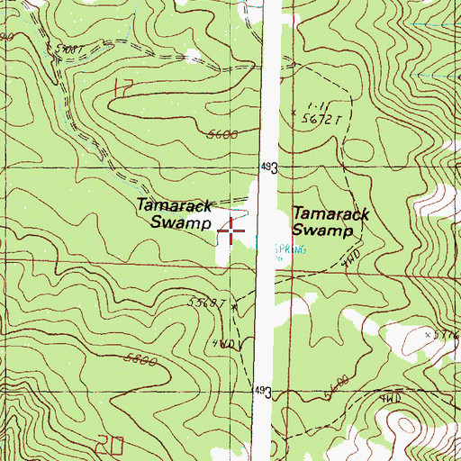 Topographic Map of Tamarack Swamp, OR