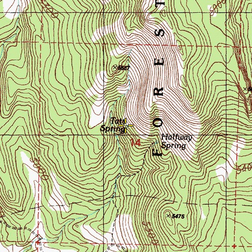 Topographic Map of Tats Spring, OR