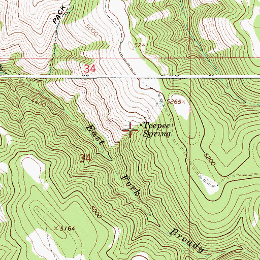 Topographic Map of Teepee Spring, OR