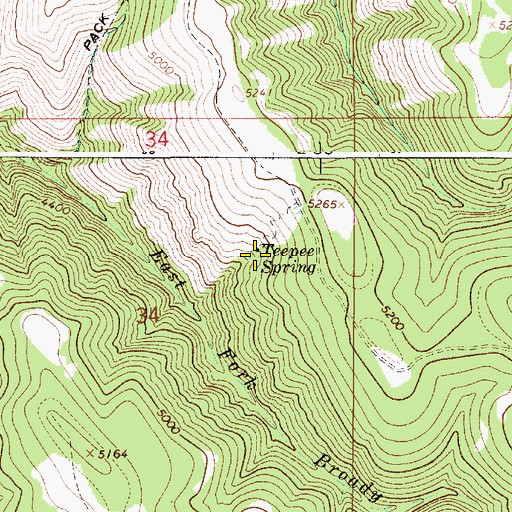 Topographic Map of Teepee Spring, OR