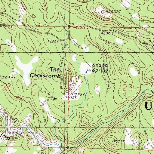 Topographic Map of The Cockscomb, OR