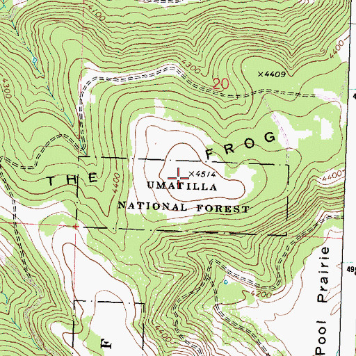 Topographic Map of The Frog, OR