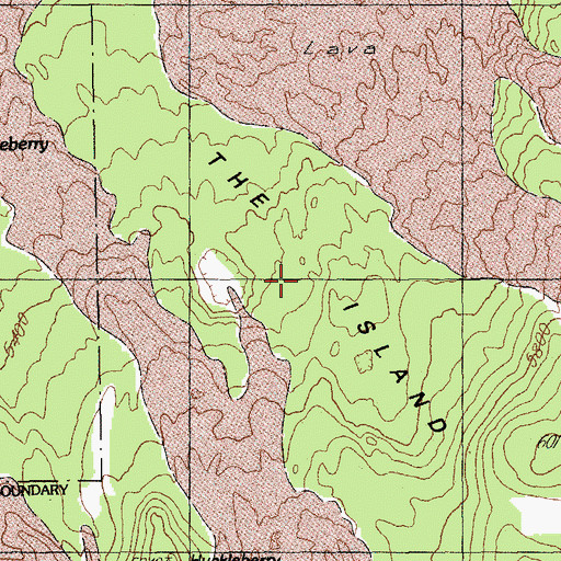 Topographic Map of The Island, OR