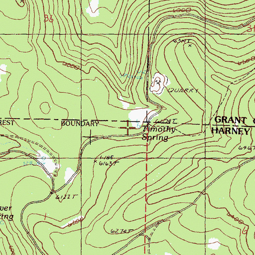 Topographic Map of Timothy Spring, OR