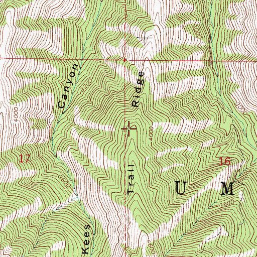Topographic Map of Trail Ridge, OR