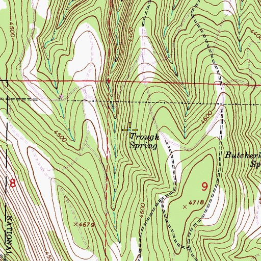 Topographic Map of Trough Spring, OR