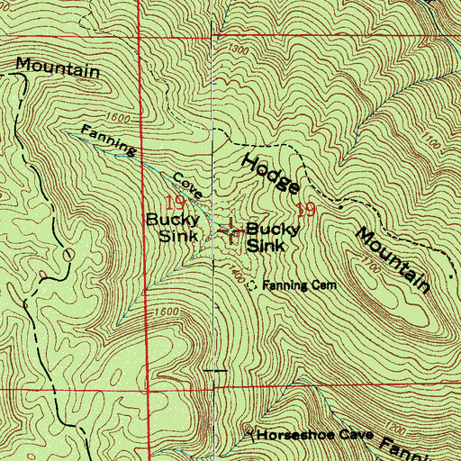 Topographic Map of Bucky Sink, AL