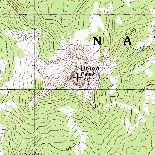 Topographic Map of Union Peak, OR
