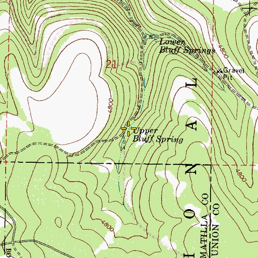 Topographic Map of Upper Bluff Spring, OR