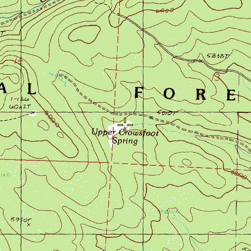 Topographic Map of Upper Crowsfoot Spring, OR