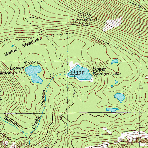 Topographic Map of Upper Salmon Lake, OR