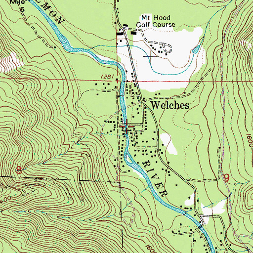 Topographic Map of Welches, OR
