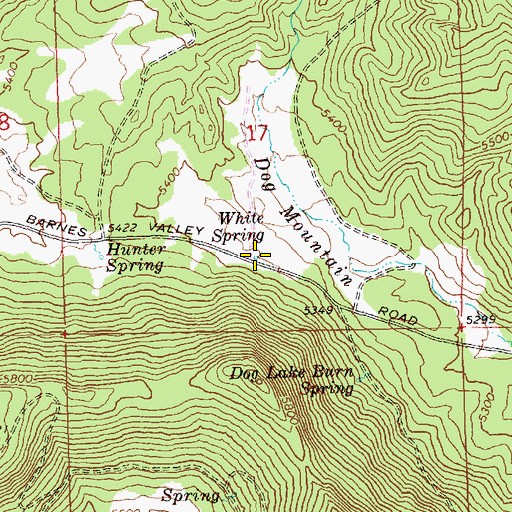 Topographic Map of White Spring, OR