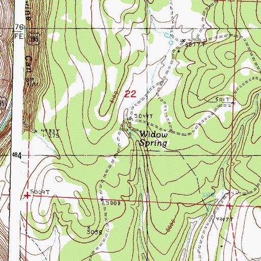 Topographic Map of Widow Spring, OR