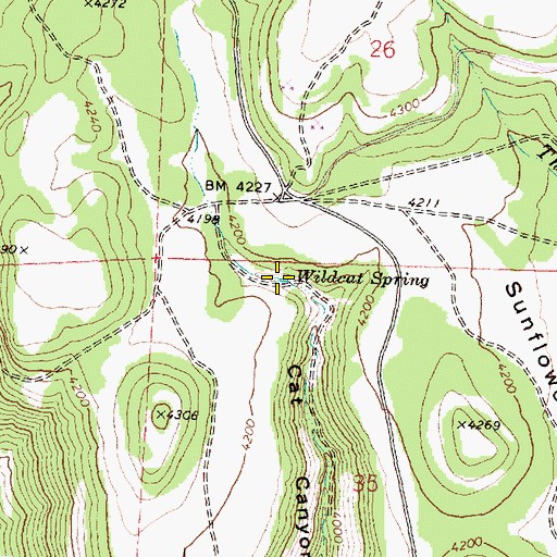 Topographic Map of Wildcat Spring, OR